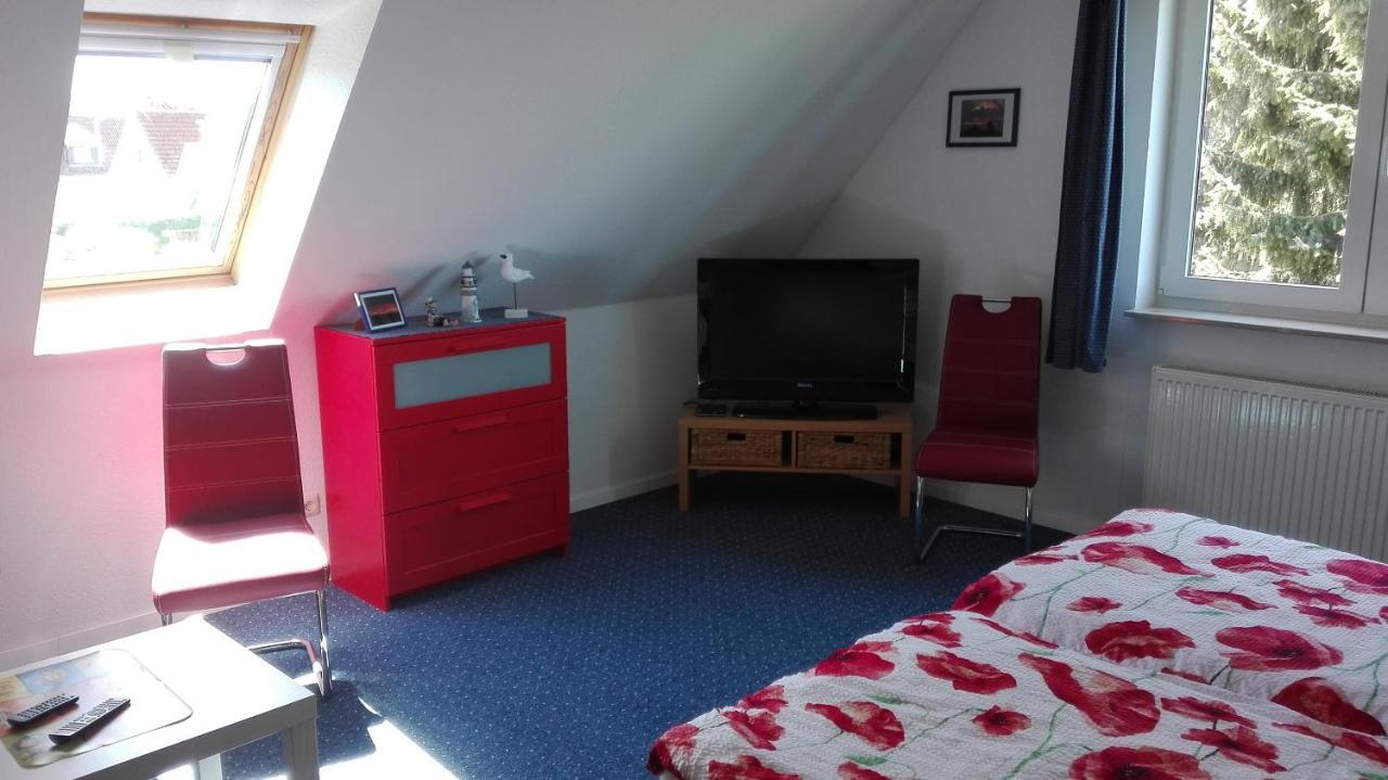 Kleine Moewe * Rostock